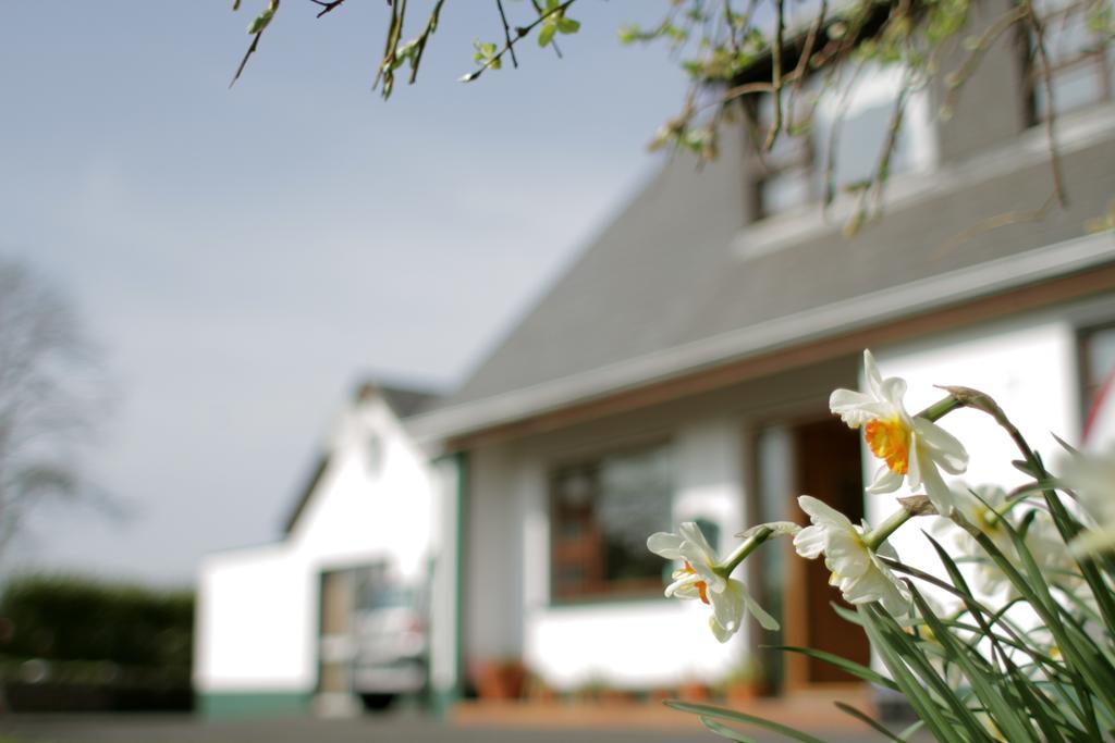 Seisnaun B&B Sligo Dış mekan fotoğraf